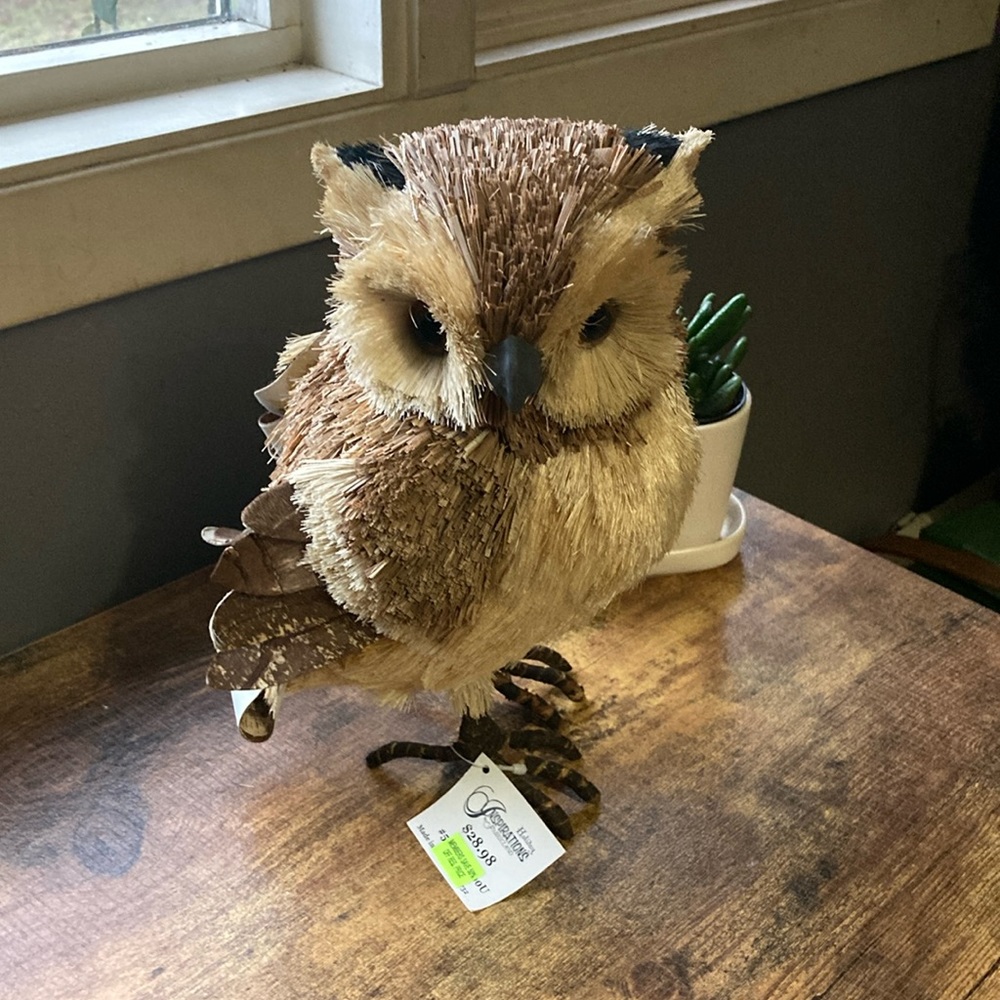 Craft owl